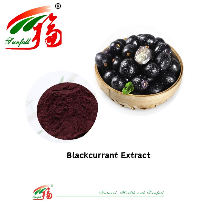 Pasokan Pabrik Hunan Sunfull Antioksidan Alami Berkualitas Tinggi Antosianin 1%-25% Billberry/Elderberry/Acai Berry/Blackcurrant/Ekstrak Blueberry