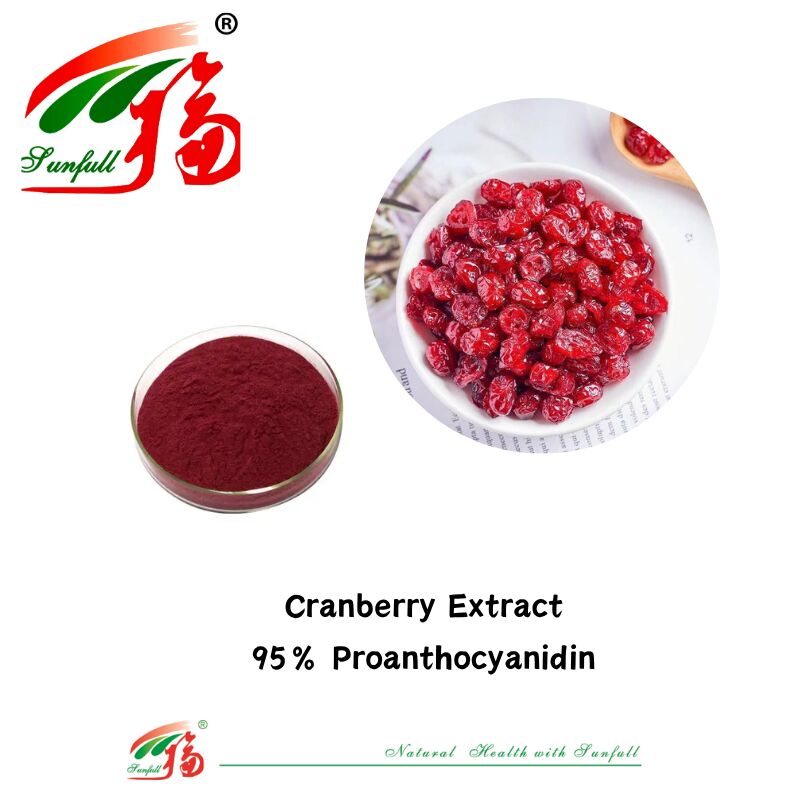 Pemasok Pabrik Kualitas Tinggi 100% Antioksidan Alami OPC Proanthocyanidin 95% Ekstrak Kulit Kacang / Kulit Pine / Cranberry / Biji Anggur