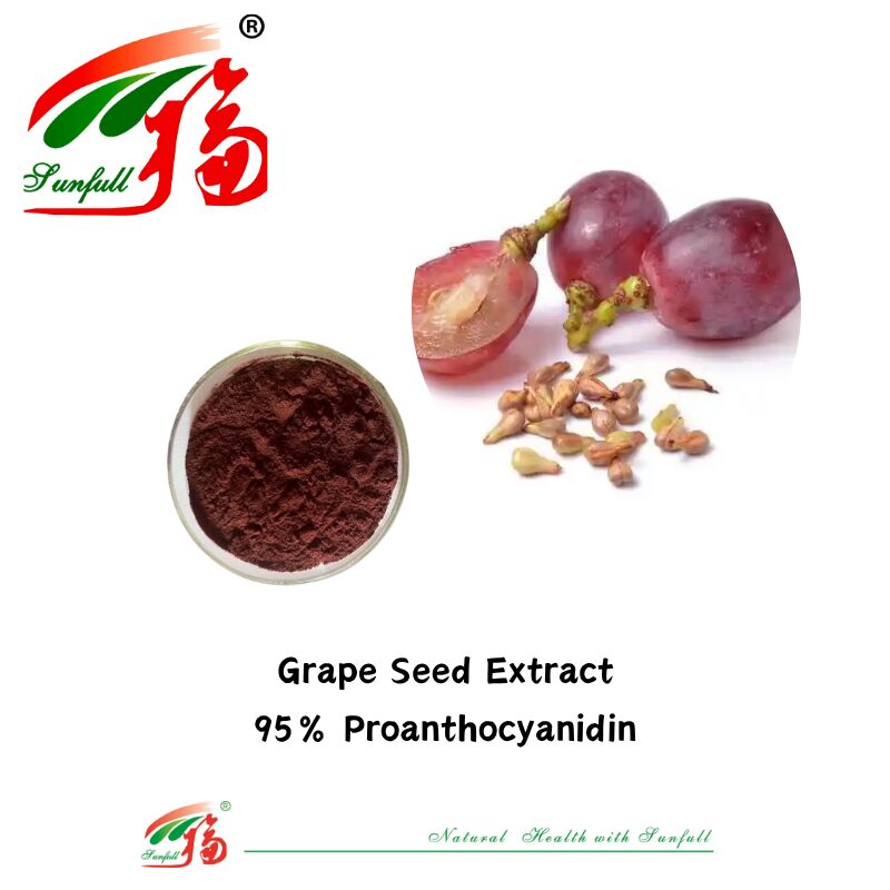 Pemasok Pabrik Kualitas Tinggi 100% Antioksidan Alami OPC Proanthocyanidin 95% Ekstrak Kulit Kacang / Kulit Pine / Cranberry / Biji Anggur
