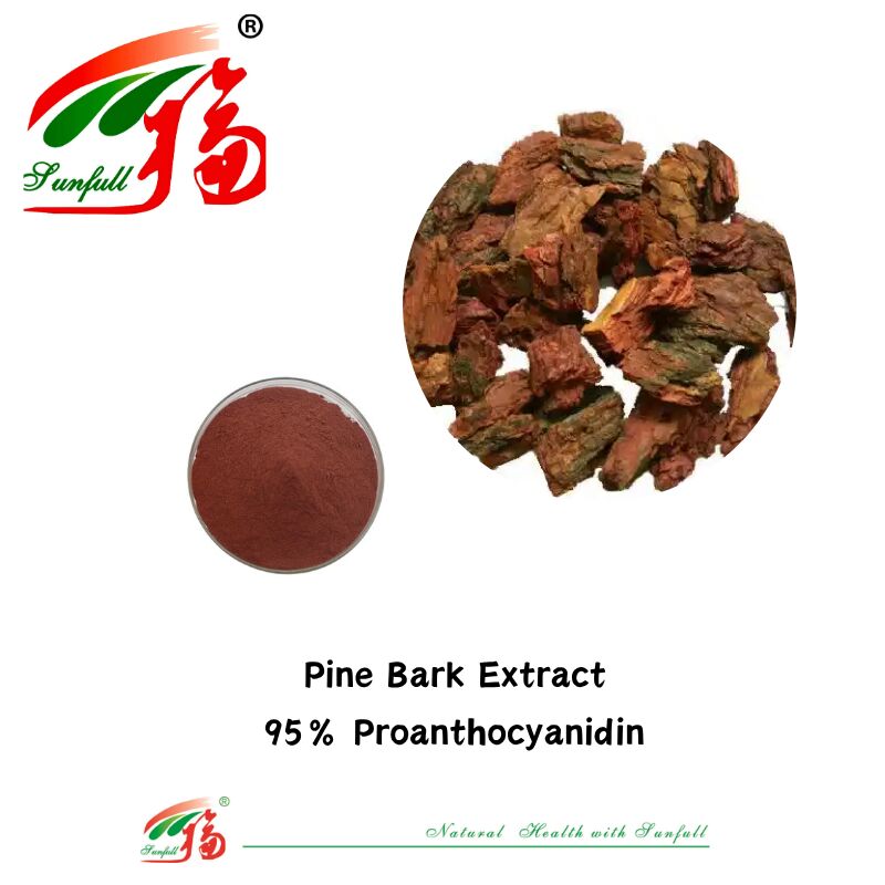 Pemasok Pabrik Kualitas Tinggi 100% Antioksidan Alami OPC Proanthocyanidin 95% Ekstrak Kulit Kacang / Kulit Pine / Cranberry / Biji Anggur