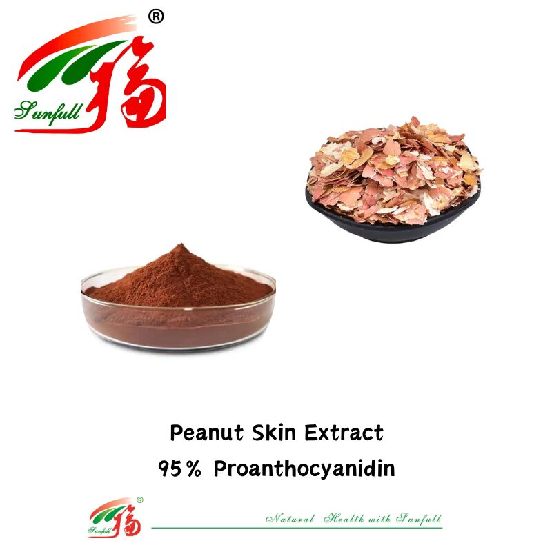 Pemasok Pabrik Kualitas Tinggi 100% Antioksidan Alami OPC Proanthocyanidin 95% Ekstrak Kulit Kacang / Kulit Pine / Cranberry / Biji Anggur
