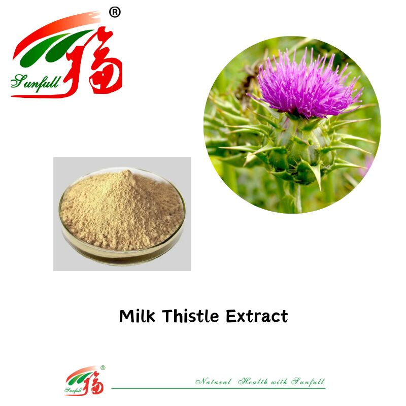 Herbal Silybum Marianum Tanaman Bibit Cengkeh Berkat Benih Bubuk 30% Silybins HPLC UV 40% ~ 80% Liposom 40% - 80% Silymarin Milk Thistle Extract untuk Kesehatan Hati