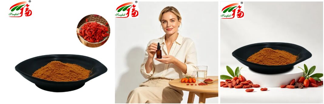 Suplemen makanan alami Cina Antosianin 1-25% Polysaccharides 10%-50% Lisium Barbarum Ekstrak Wolfberry Ekstrak/Goji Berry Ekstrak