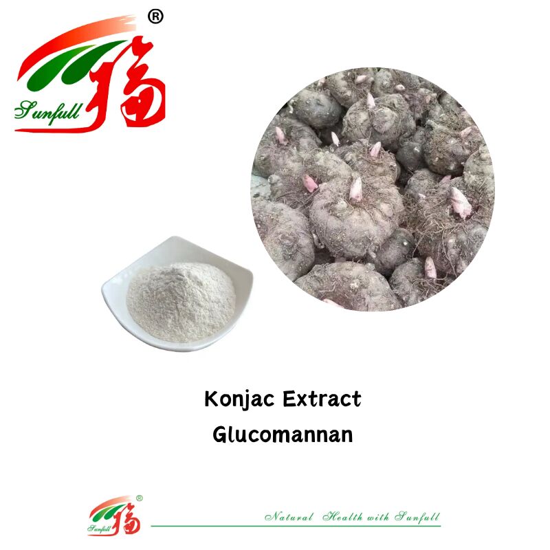 Suplemen makanan alami berkualitas tinggi Ekstrak Konjca Glucomannan 85% Ekstrak Kacang Putih Bubuk Untuk Dukungan Penurunan Berat Badan