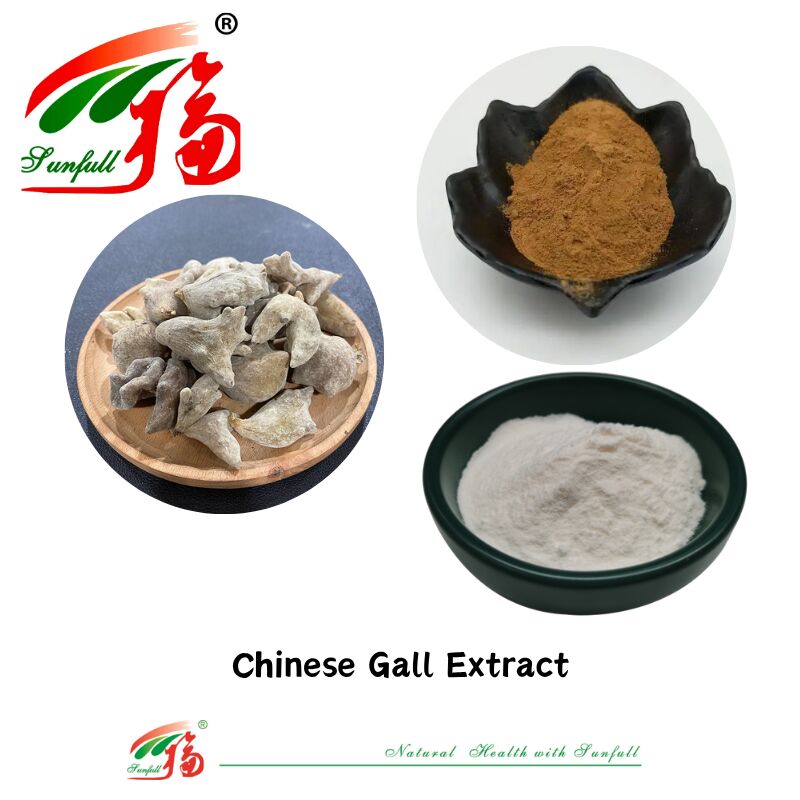 ISO 22000/Kosher/Halal Pengadaan langsung obat tradisional Cina alami 40%-90% Ellagic Acid 99% Gallic Acid Powder Chinese Gall Extract