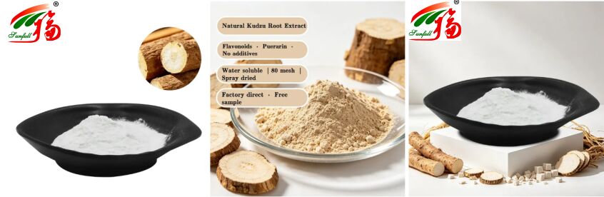 Sampel Gratis Antioksidan Bahan Baku Kosmetik Tanaman Pemanis Putih Peony Powder Akar Peony Ekstrak 10%-50% Paeoniflorin