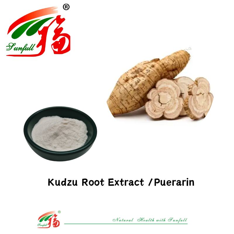 Sampel Gratis Ekstrak Akar Kudzu Berkualitas Tinggi Ekstrak Pueraria Lobata Puerarin 10% -98% CAS 3681-99-0