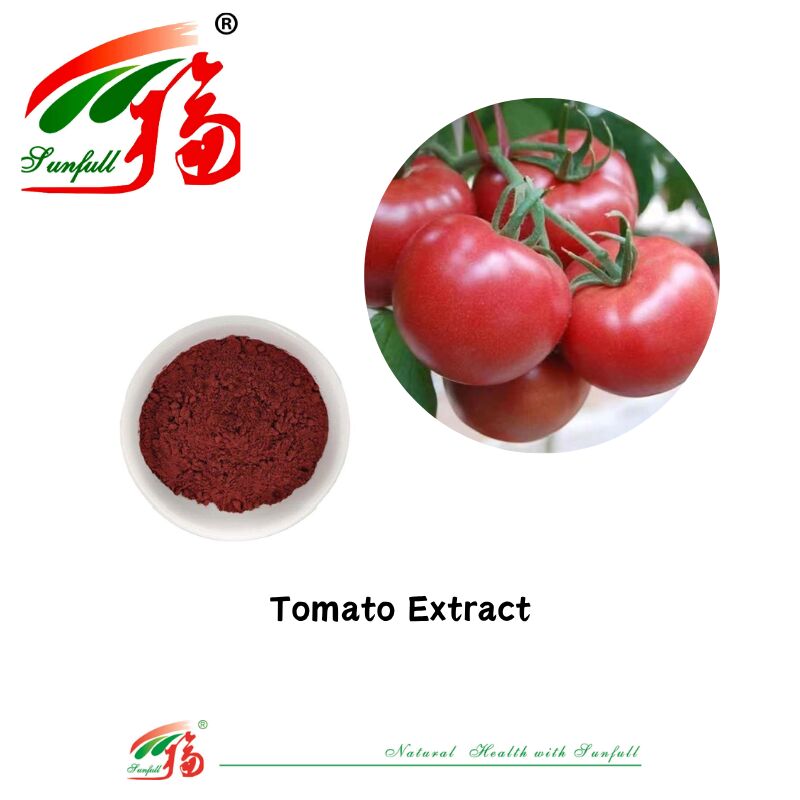 Makanan Kesehatan Food Grade CAS 502-65-8 Harga Grosir Pigmen Alami Ekstrak Tomat 1% -10% Bubuk Lycopene