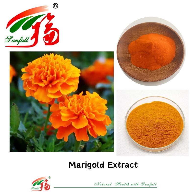 Bahan Alami Kesehatan Mata Food Grade Zeaxanthin 5% Lutein Larut Dalam Air 5% HPLC Ekstrak Bunga Marigold
