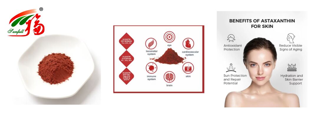 Sunfull Makanan Antioksidan Penyediaan Kesehatan Kualitas Tinggi 1%-10% Ekstrak Haematococcus Pluvialis Alami/Bubuk Astaxanthin