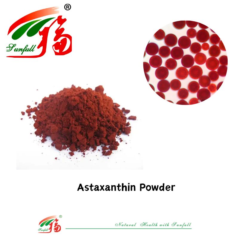 Sunfull Makanan Antioksidan Penyediaan Kesehatan Kualitas Tinggi 1%-10% Ekstrak Haematococcus Pluvialis Alami/Bubuk Astaxanthin