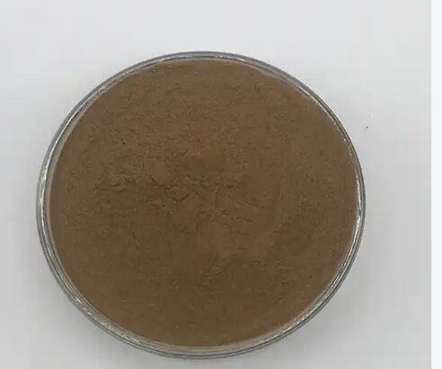 ISO/Kosher Mempromosikan Pencernaan Ekstrak Biji Cassia Food Grade 10: 1 / 20% HPLC Sennosides Ekstrak Daun Senna