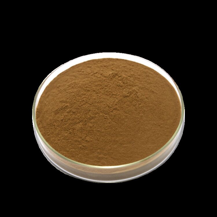 ISO/Kosher Mempromosikan Pencernaan Ekstrak Biji Cassia Food Grade 10: 1 / 20% HPLC Sennosides Ekstrak Daun Senna