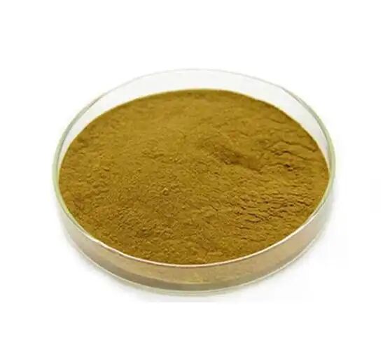Grade Feed / Food Grade Nutritional Supplements Eucommia Ulmoides Extract/Green Coffee Bean Extract Asam klorogenik 5%-98%
