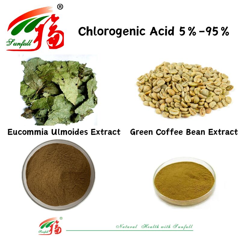 Grade Feed / Food Grade Nutritional Supplements Eucommia Ulmoides Extract/Green Coffee Bean Extract Asam klorogenik 5%-98%