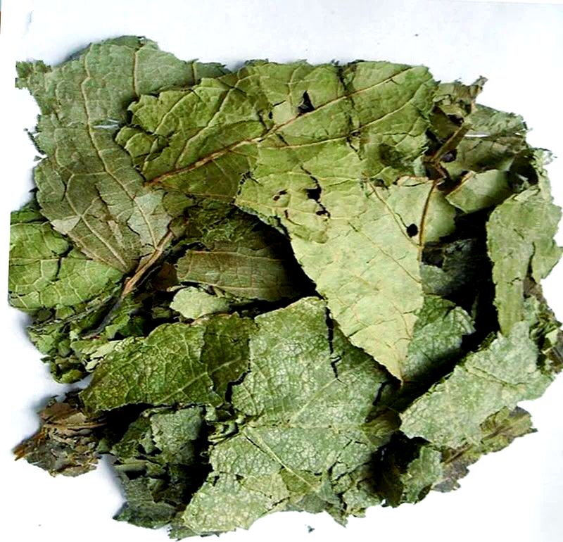 Grade Feed / Food Grade Nutritional Supplements Eucommia Ulmoides Extract/Green Coffee Bean Extract Asam klorogenik 5%-98%