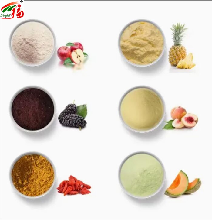 Buah Bahan-bahan Kesehatan Makanan Kualitas tinggi Rasa yang baik dan Kelarutan air Minuman Bubuk beku-kering Bubuk Buah Berbagai