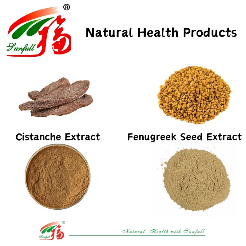 Mempromosikan Kesehatan Pria Ekstrak Biji Fenugreek Berkualitas Tinggi Alami Saponin 20% / Glikosida Feniletanoid 40% / Echinacoside 8% Ekstrak Cistanche