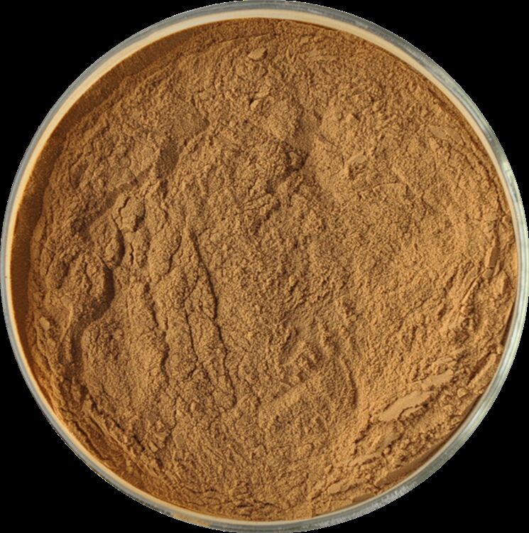 Mempromosikan Kesehatan Pria Ekstrak Biji Fenugreek Berkualitas Tinggi Alami Saponin 20% / Glikosida Feniletanoid 40% / Echinacoside 8% Ekstrak Cistanche