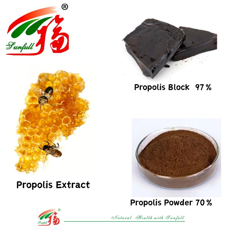 Suplemen makanan / Farmasi Kaya Flavonoid 10%-20% Propolis larut dalam air Blok 97% / Serbuk Propolis 70% Ekstrak Propolis