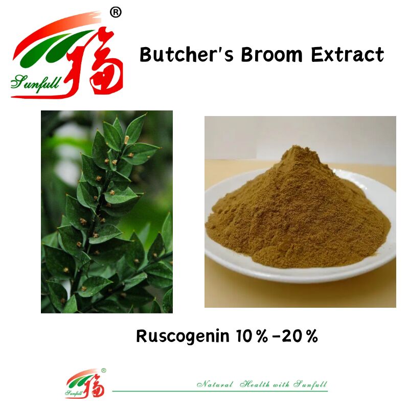 Ekstrak Akar Ruscus Aculeatus Berkualitas Tinggi Harga Pabrik Ekstrak Akar Ruscus Aculeatus 10%-20% Ekstrak Ruscogenin