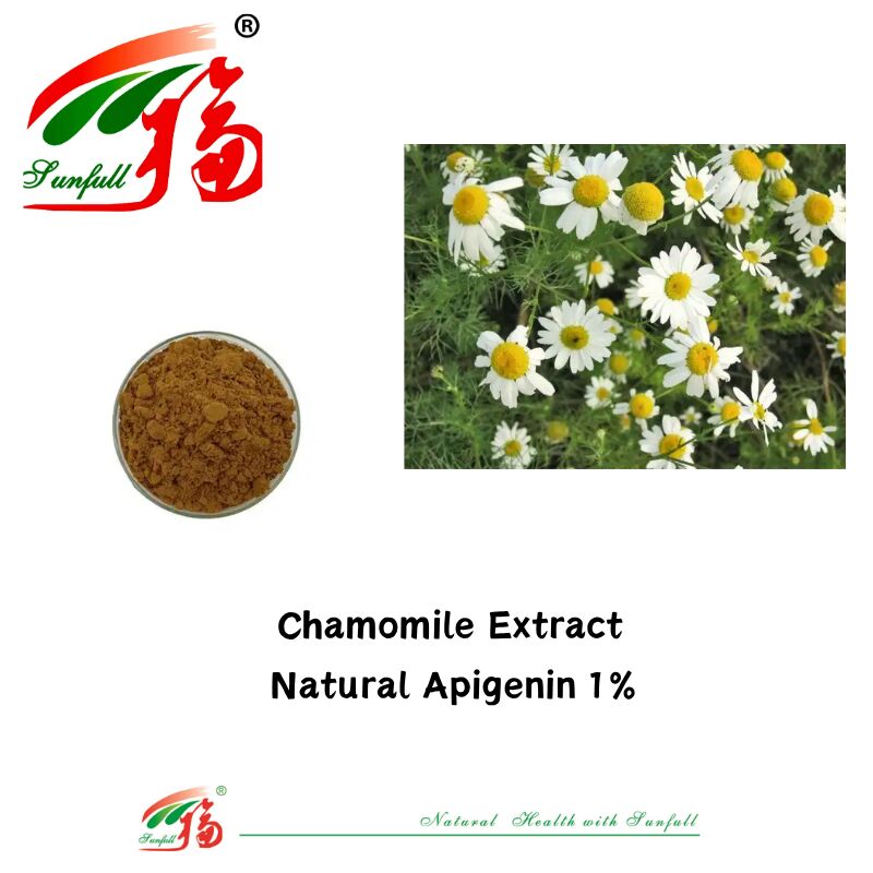 100% Ekstrak Biji Seledri Alami 98% Apigenin Powder CAS 520-36-5 Ekstrak Apigenin Berkualitas Tinggi 1% Chamomile