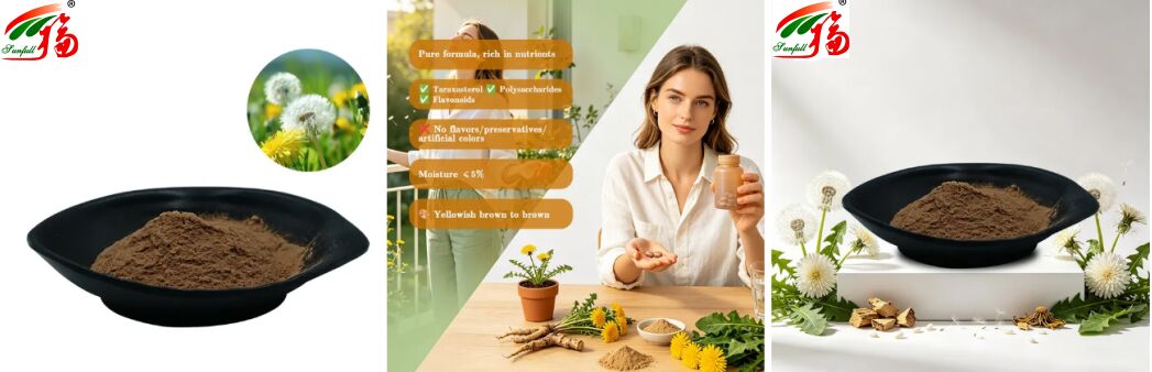 Grade Food Dandelion Herb Daun Dandelion Ekstrak Bubuk Flavonoid Alami 5%-10% Ekstrak Dandelion Organik