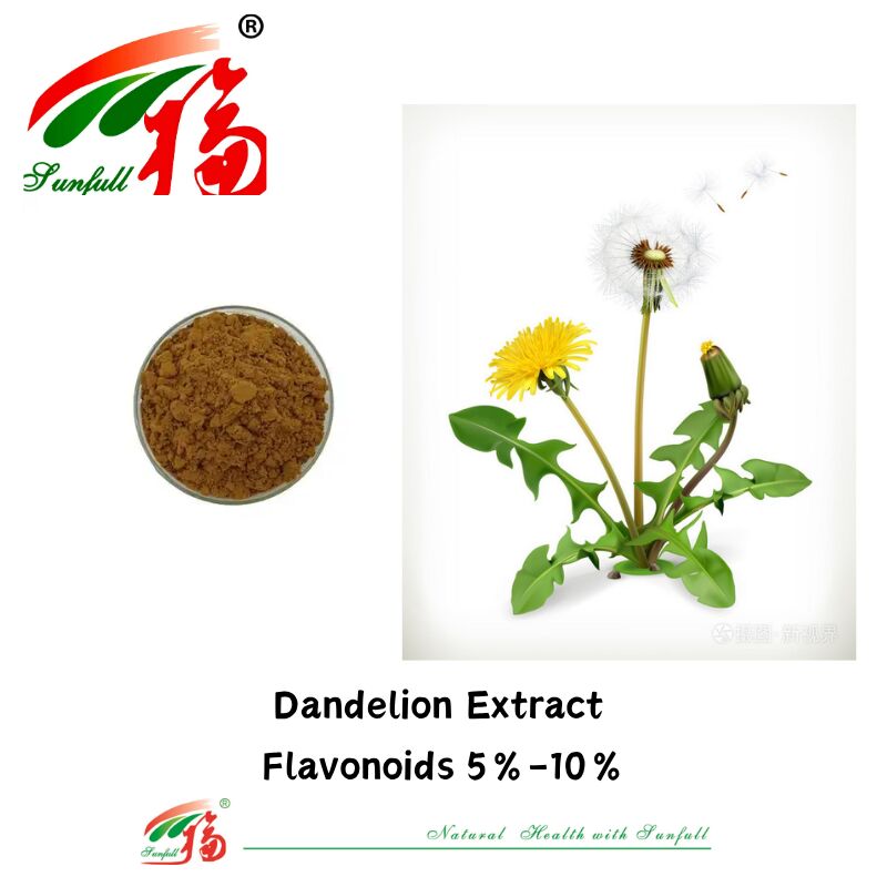 Grade Food Dandelion Herb Daun Dandelion Ekstrak Bubuk Flavonoid Alami 5%-10% Ekstrak Dandelion Organik