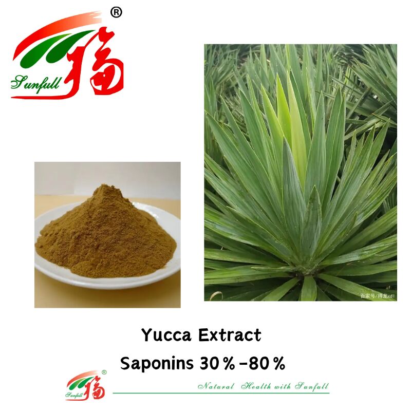 Pewangi ISO/Kosher Mempromosikan Kesehatan Usus Bahan Makanan Hewan Peliharaan 10%-80% Saponin Ekstrak Yucca