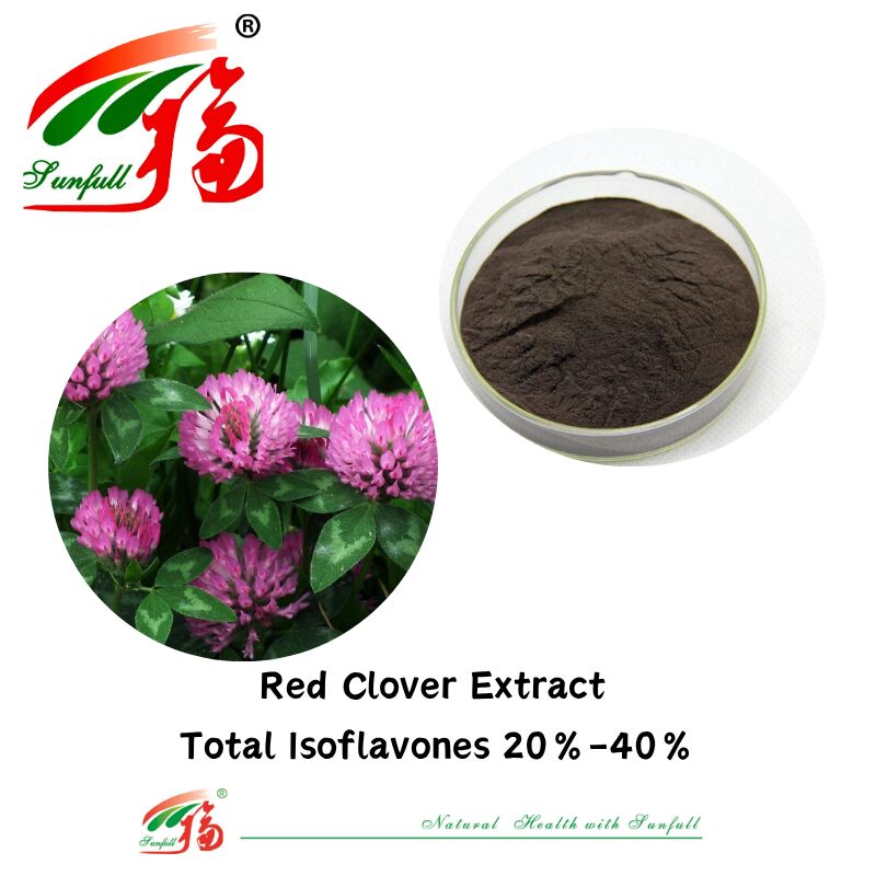 Hunan Sunfull untuk keseimbangan hormon dan bantuan Suplemen kesehatan murni alami Total Organik Isoflavon 20%-40% Ekstrak Red Clover