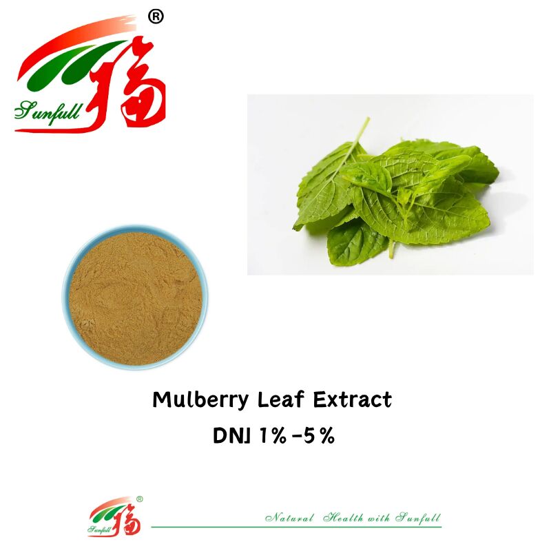 Sampel Gratis Kelas Pangan 1%-5% HPLC Deoksinojirimycin Dnj Bubuk Polysaccharides Mulberry Leaf Extract Bubuk Anti-penuaan Antioksidan untuk formulasi kosmetik
