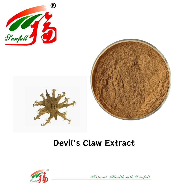 CAS 19210-12-9 Harpagophytum Procumbens Murni Alami Bubuk 5% Ekstrak Cakar Setan Harpagoside