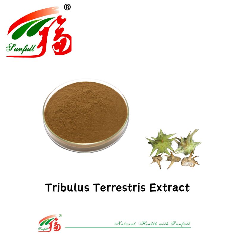 Pabrik Cina Jual Panas Ekstrak Tribulus Food Grade Kesehatan Manusia Sampel Gratis Bubuk Ekstrak Tribulus Terrestris 40% -90% Saponin