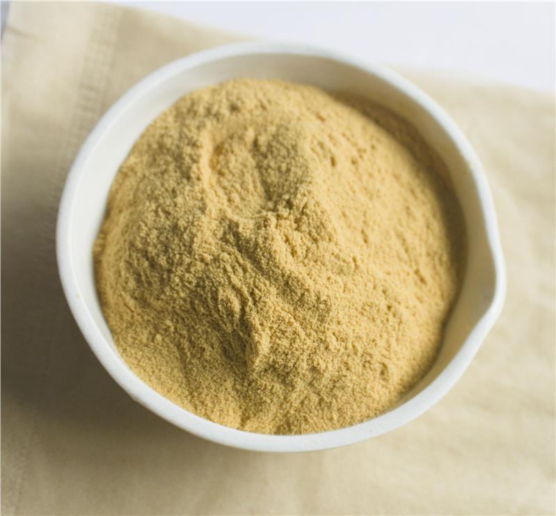 Suplai Pabrik Hemostasis Suplemen Diet 10% 40% 80% Notoginsenosides Panax Notoginseng Ekstrak Akar