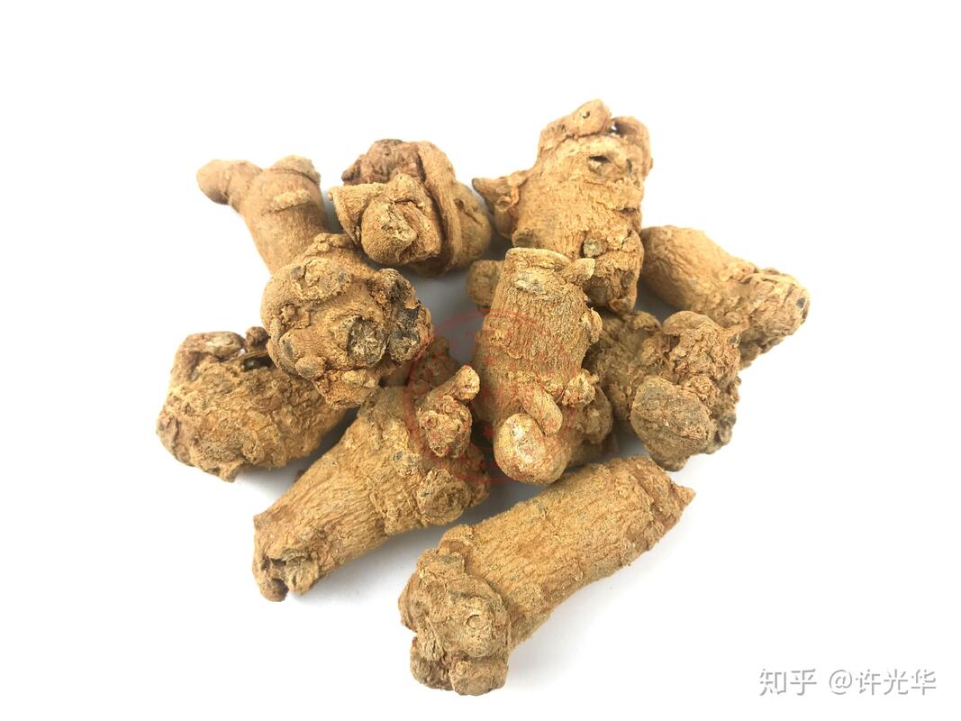Suplai Pabrik Hemostasis Suplemen Diet 10% 40% 80% Notoginsenosides Panax Notoginseng Ekstrak Akar