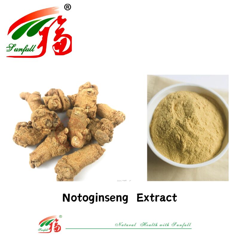 Suplai Pabrik Hemostasis Suplemen Diet 10% 40% 80% Notoginsenosides Panax Notoginseng Ekstrak Akar