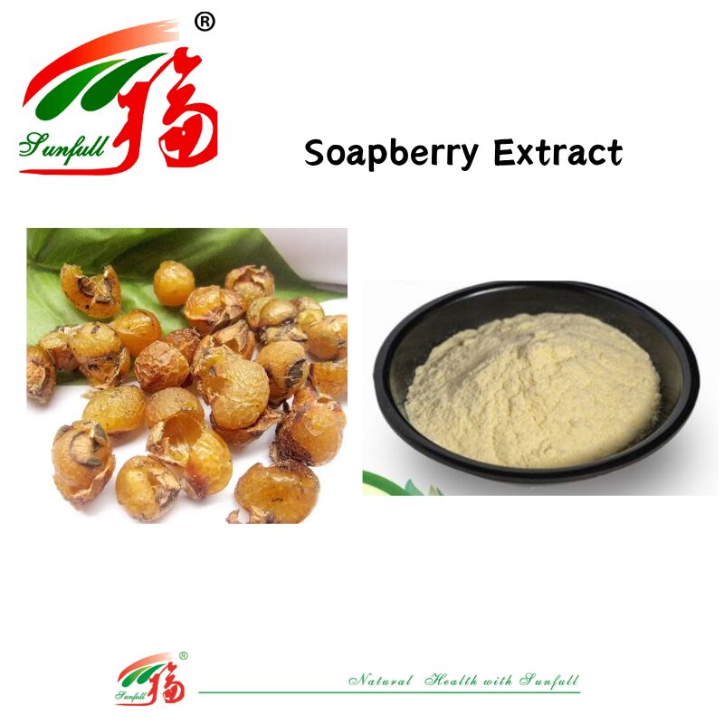 Sabun Alami Sehat Deterjen Pembersih Perawatan Kulit dan Perawatan Rambut 40% -70% Ekstrak Saponin Soapberry