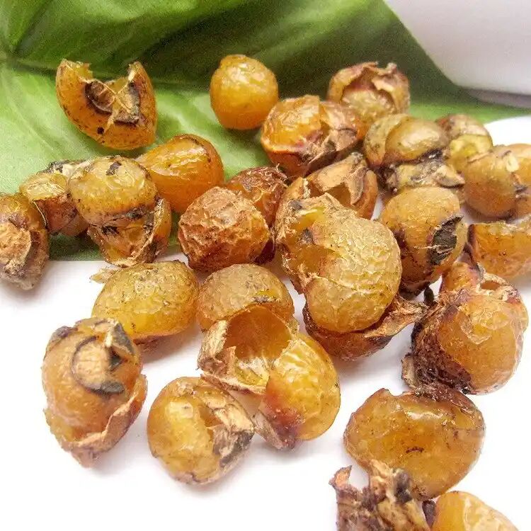 Sabun Alami Sehat Deterjen Pembersih Perawatan Kulit dan Perawatan Rambut 40% -70% Ekstrak Saponin Soapberry