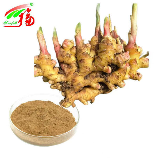 Ekstrak jahe Ekstrak akar jahe Gingerol 10% 5% 1% Nyaman pencernaan Dukungan pernapasan dan mobilitas sendi