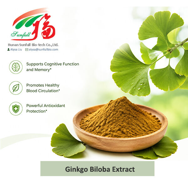 Ekstrak Ginkgo Biloba Alami Cp/ USP/ Ep/ Larut dalam air Tipe untuk suplemen farmasi