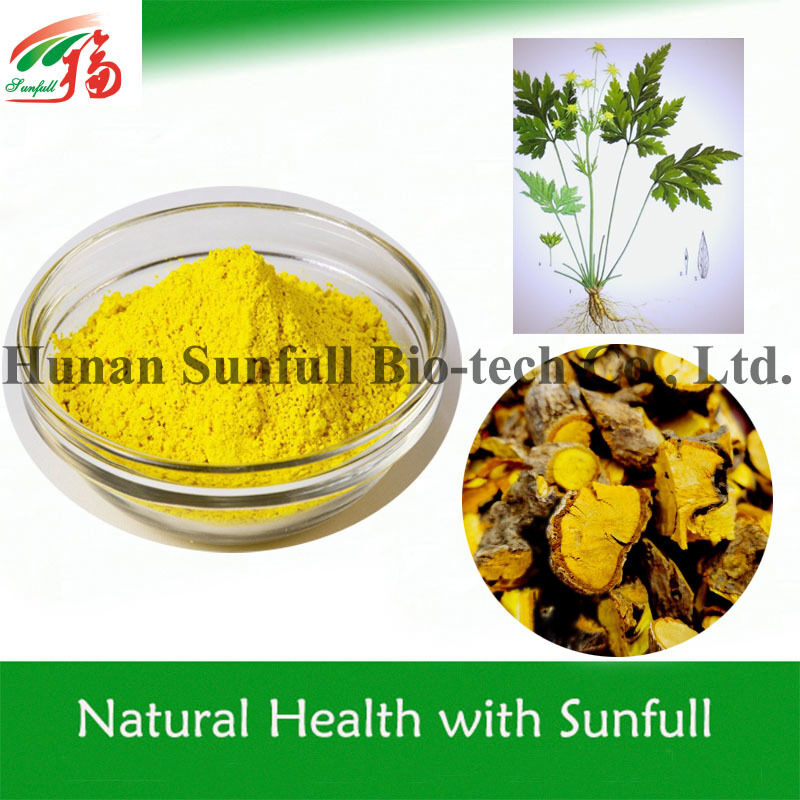 100% Berberine HCl Alami 97% 98% dari Akar Coptis chinensis dengan Nomor CAS 633-65-8