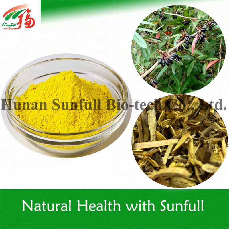 Berberine hcl 97% 98% Buang Kristalin Kuning dengan Sifat Antibakteri dan Antiinflamasi dari Phellodendron chinense Extract
