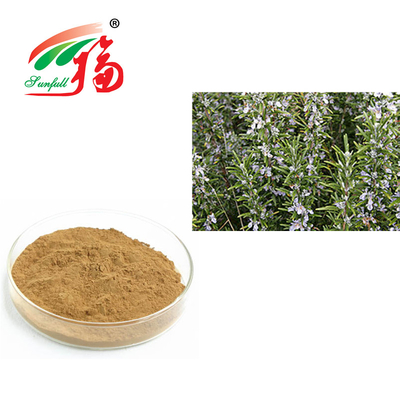 Ekstrak Rosemary 30% Asam Rosmarinic Untuk Anti Penuaan Rosmarinus Officinalis