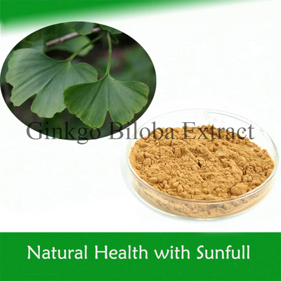Ekstrak Ginkgo Biloba 100% Alami Untuk Menurunkan Tekanan Darah