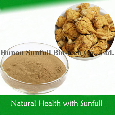 Ekstrak Akar Maca Warna Kuning Kecokelatan dari Lepidium Meyenii Walp Botanical Resource