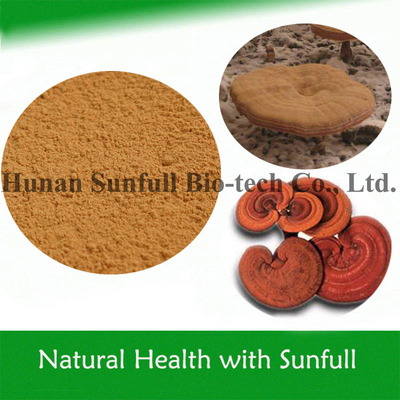 Ekstrak Jamur Reishi Polysaccharides dan Triterpenoids untuk Kesehatan yang Optimal
