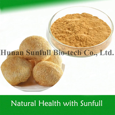 Ekstrak Hericium Erinaceus Bulk Ekstrak Jamur Lions Mane Ekstrak Jamur untuk Makanan Kesehatan