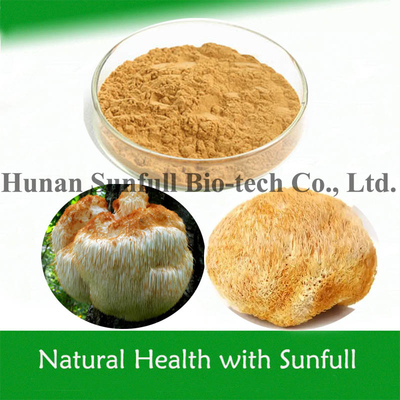 Ekstrak Hericium Erinaceus Organic Powder Lion's Mane untuk Makanan Kesehatan