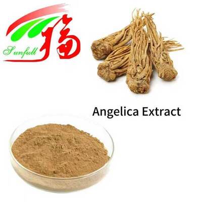Angelica Ekstrak 1% 1,5% Liguistlide 0,1% 0,3% Asam Ferulic Cina Dong Quai Ekstrak