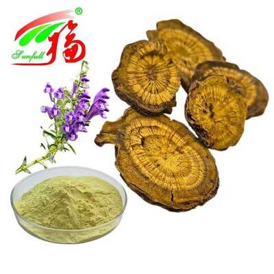 Bahan-bahan perawatan kesehatan 10%~95% Baicalin Baicalein Powder Scutellaria baicalensis Georgi Ekstrak Radix Scutellariae Ekstrak Baikal Skullcap Ekstrak